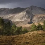 Press release winners slpoty9